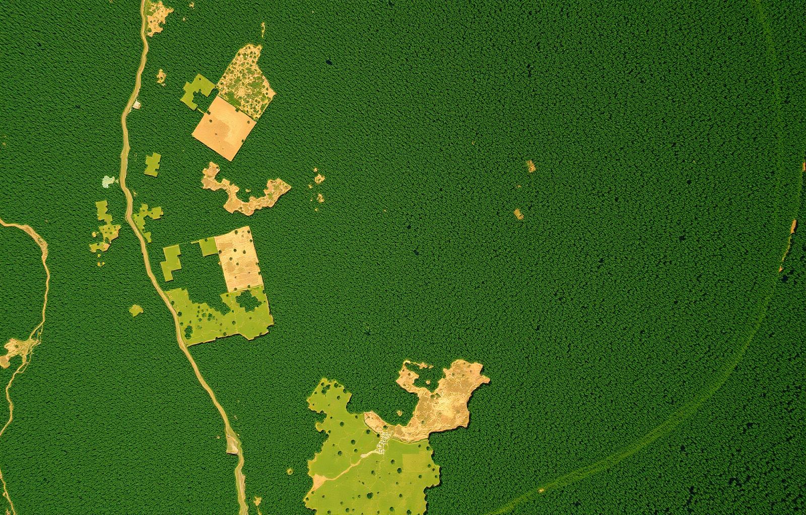 Mapa satelital de restauração